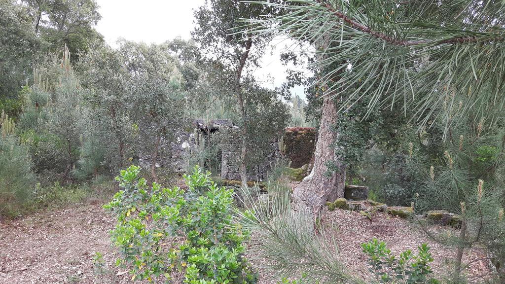 Casa Douro Terrace Villa Baião Eksteriør bilde